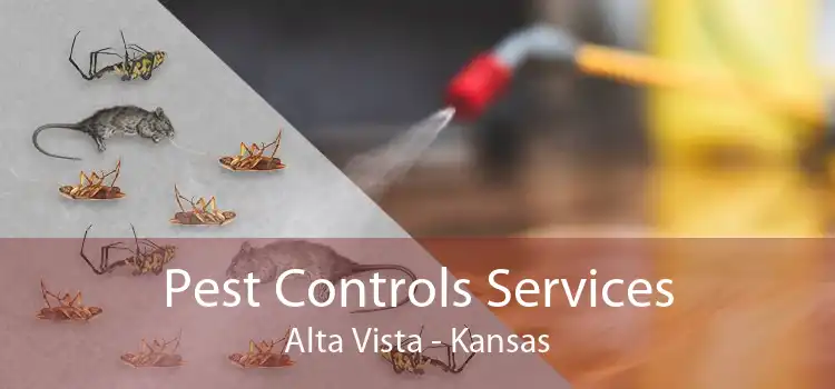 Pest Controls Services Alta Vista - Kansas