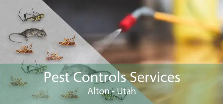 Pest Controls Services Alton - Utah