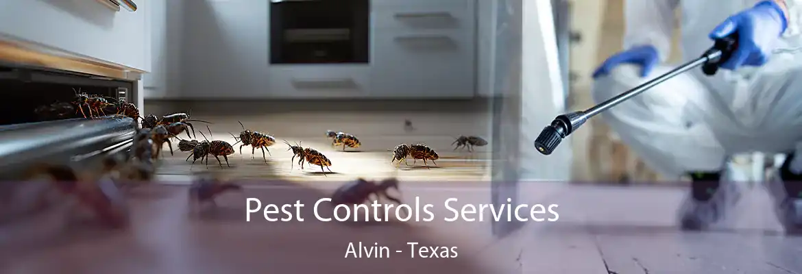 Pest Controls Services Alvin - Texas