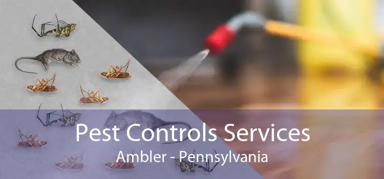 Pest Controls Services Ambler - Pennsylvania