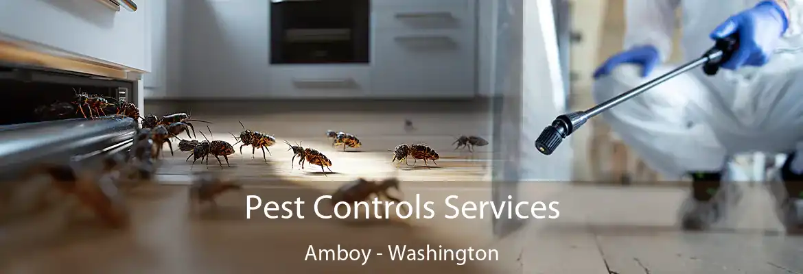 Pest Controls Services Amboy - Washington