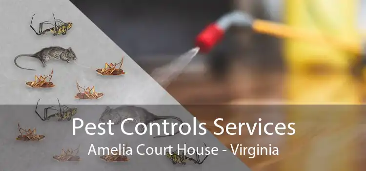 Pest Controls Services Amelia Court House - Virginia