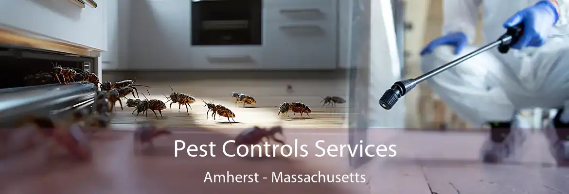 Pest Controls Services Amherst - Massachusetts