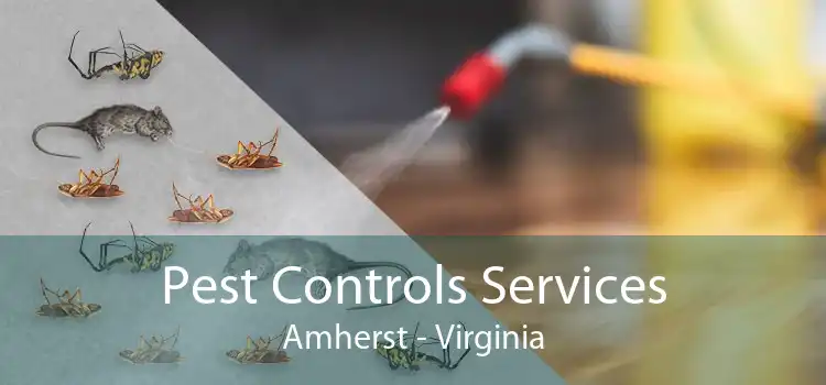 Pest Controls Services Amherst - Virginia