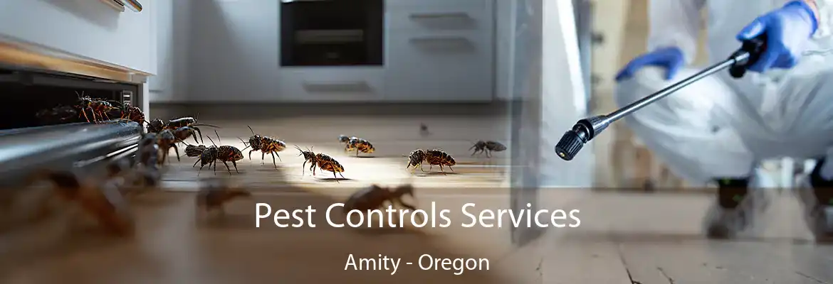 Pest Controls Services Amity - Oregon