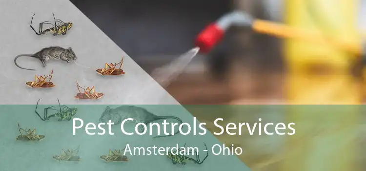 Pest Controls Services Amsterdam - Ohio