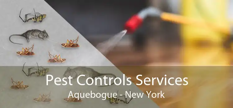 Pest Controls Services Aquebogue - New York