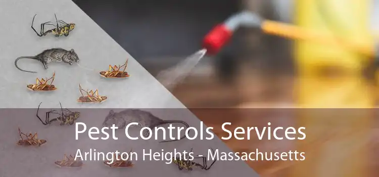 Pest Controls Services Arlington Heights - Massachusetts