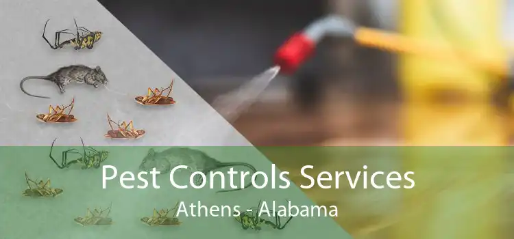 Pest Controls Services Athens - Alabama