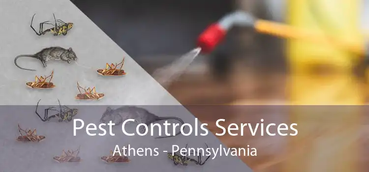 Pest Controls Services Athens - Pennsylvania