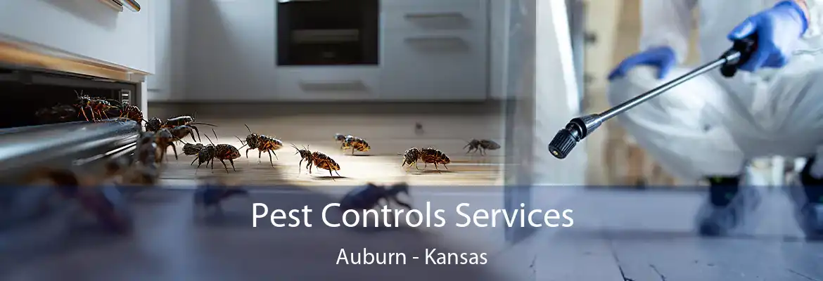 Pest Controls Services Auburn - Kansas