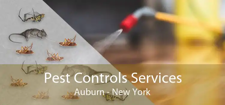 Pest Controls Services Auburn - New York