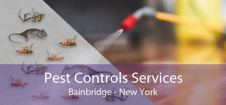 Pest Controls Services Bainbridge - New York