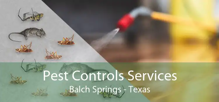 Pest Controls Services Balch Springs - Texas