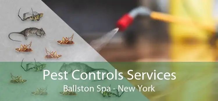 Pest Controls Services Ballston Spa - New York