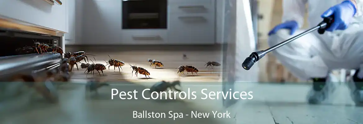 Pest Controls Services Ballston Spa - New York