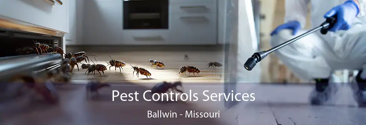 Pest Controls Services Ballwin - Missouri