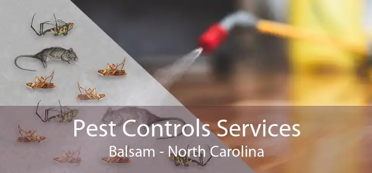 Pest Controls Services Balsam - North Carolina