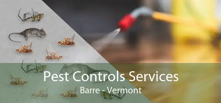 Pest Controls Services Barre - Vermont