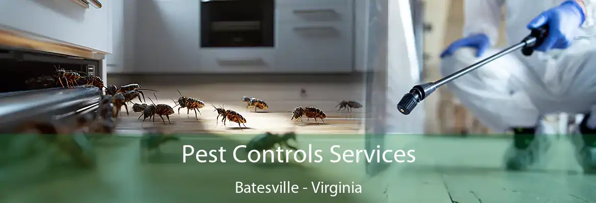 Pest Controls Services Batesville - Virginia