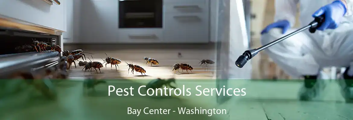 Pest Controls Services Bay Center - Washington