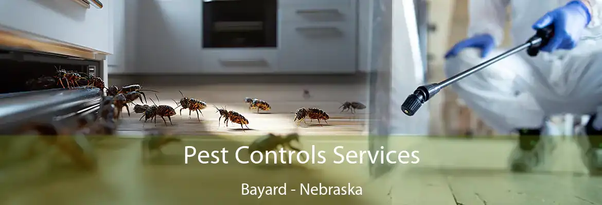 Pest Controls Services Bayard - Nebraska