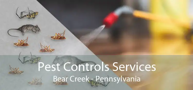 Pest Controls Services Bear Creek - Pennsylvania