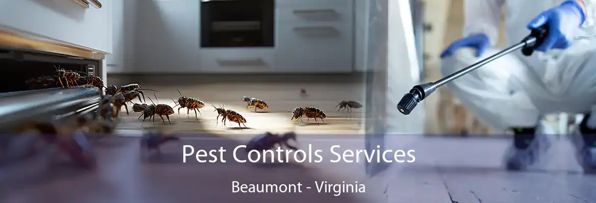 Pest Controls Services Beaumont - Virginia