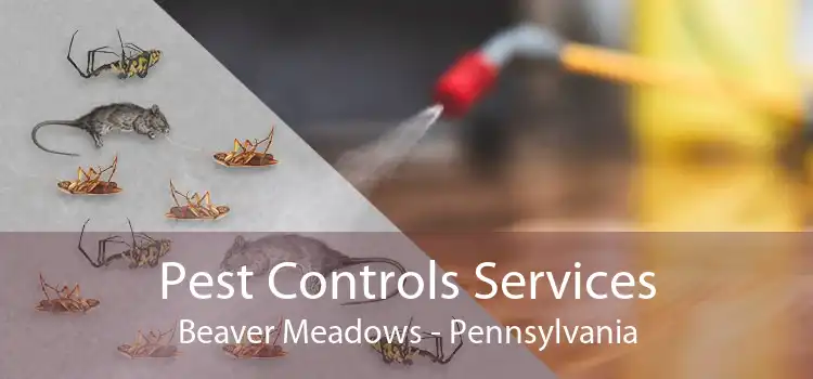 Pest Controls Services Beaver Meadows - Pennsylvania