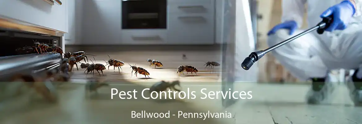 Pest Controls Services Bellwood - Pennsylvania