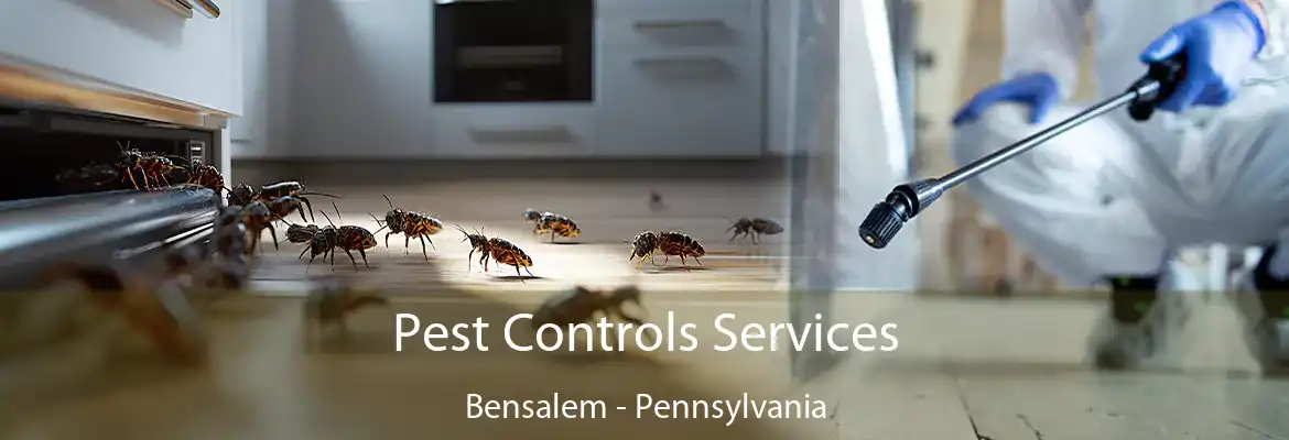 Pest Controls Services Bensalem - Pennsylvania