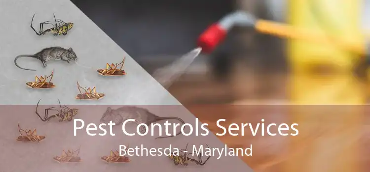 Pest Controls Services Bethesda - Maryland