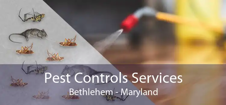 Pest Controls Services Bethlehem - Maryland