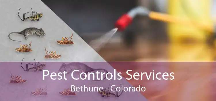 Pest Controls Services Bethune - Colorado