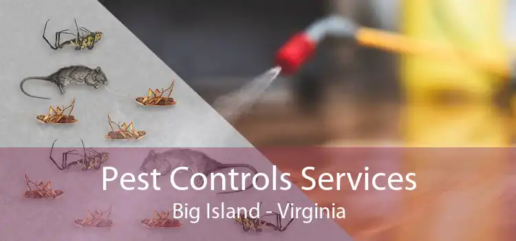 Pest Controls Services Big Island - Virginia