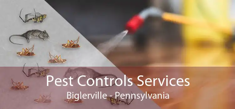 Pest Controls Services Biglerville - Pennsylvania