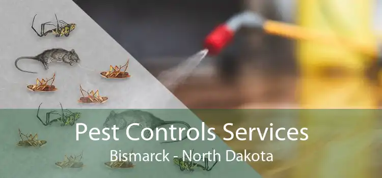 Pest Controls Services Bismarck - North Dakota