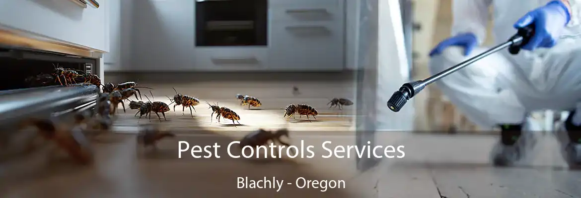 Pest Controls Services Blachly - Oregon