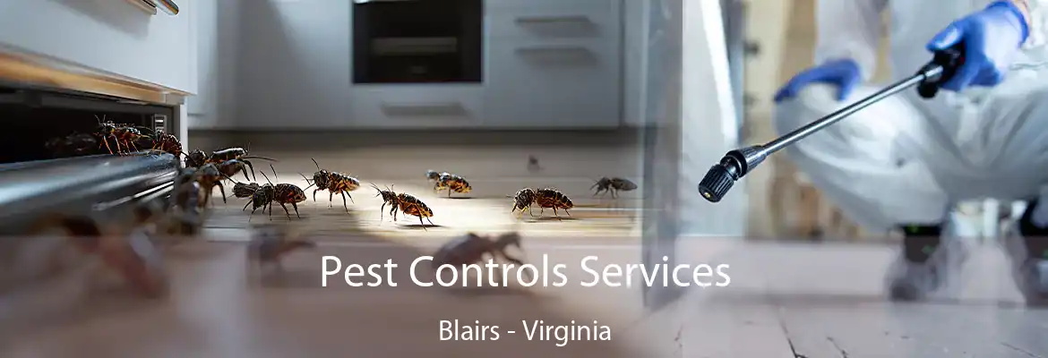 Pest Controls Services Blairs - Virginia