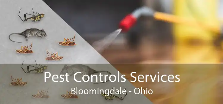 Pest Controls Services Bloomingdale - Ohio