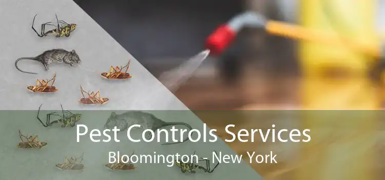 Pest Controls Services Bloomington - New York