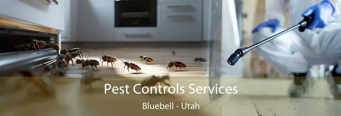 Pest Controls Services Bluebell - Utah