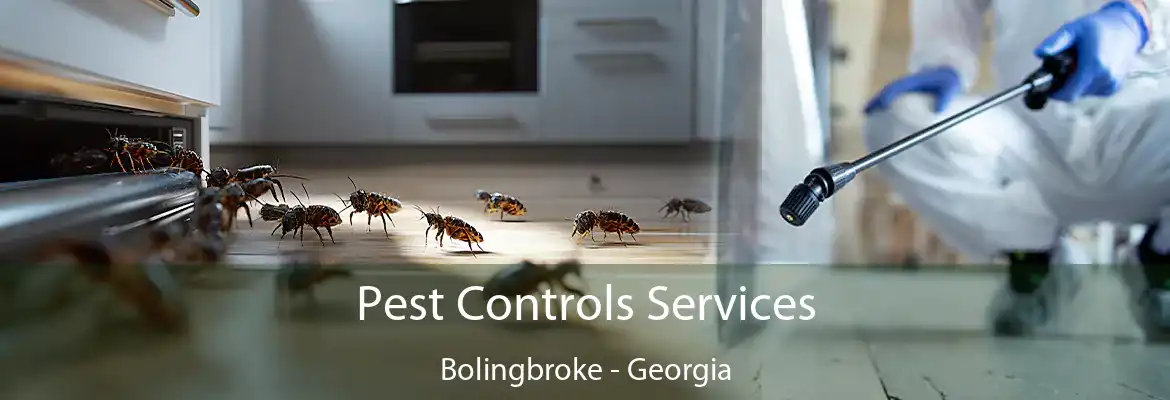 Pest Controls Services Bolingbroke - Georgia