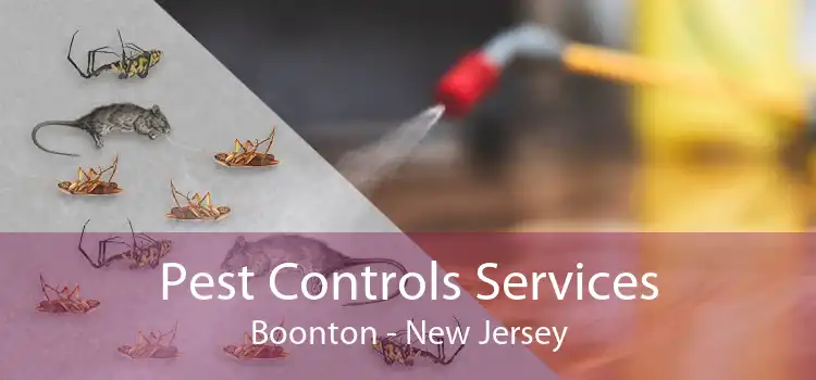 Pest Controls Services Boonton - New Jersey