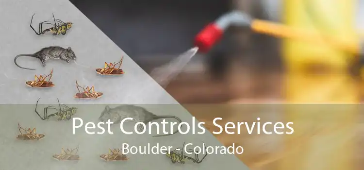Pest Controls Services Boulder - Colorado