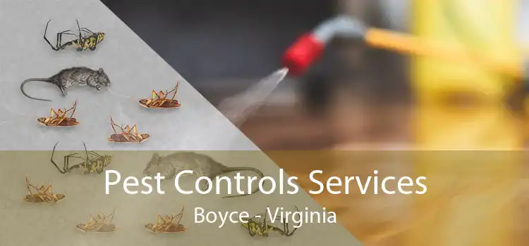 Pest Controls Services Boyce - Virginia