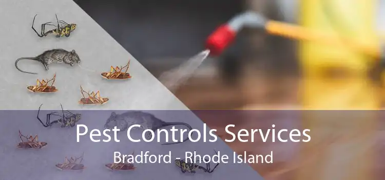 Pest Controls Services Bradford - Rhode Island