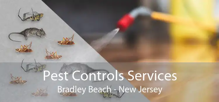 Pest Controls Services Bradley Beach - New Jersey