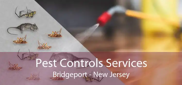 Pest Controls Services Bridgeport - New Jersey