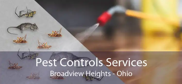 Pest Controls Services Broadview Heights - Ohio